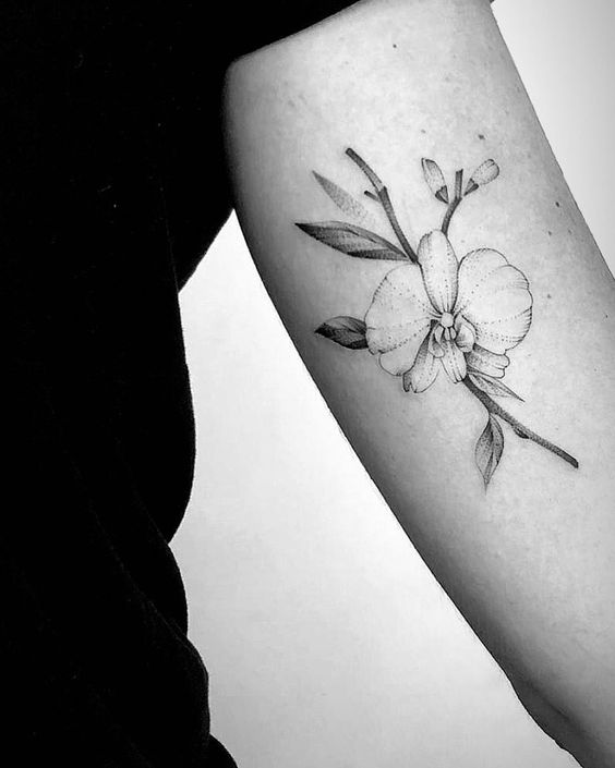 Tatuagens de orquídea: lista de inspirações que encontramos: